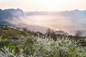 Guizhou: la campagna in fiore come un dipinto primaverile